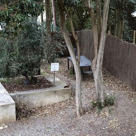 Au Vieux Lavoir Avec Parking Prive, Jardin , Climatisation, A 500 M De La Cite Carcassonne Luaran gambar