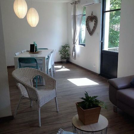Au Vieux Lavoir Avec Parking Prive, Jardin , Climatisation, A 500 M De La Cite Carcassonne Luaran gambar