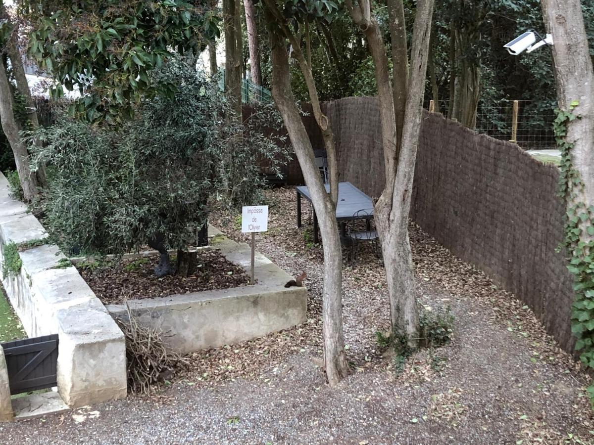 Au Vieux Lavoir Avec Parking Prive, Jardin , Climatisation, A 500 M De La Cite Carcassonne Luaran gambar