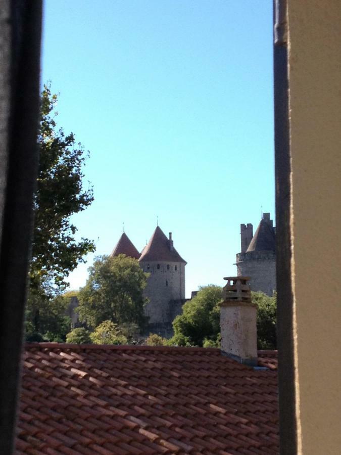 Au Vieux Lavoir Avec Parking Prive, Jardin , Climatisation, A 500 M De La Cite Carcassonne Luaran gambar