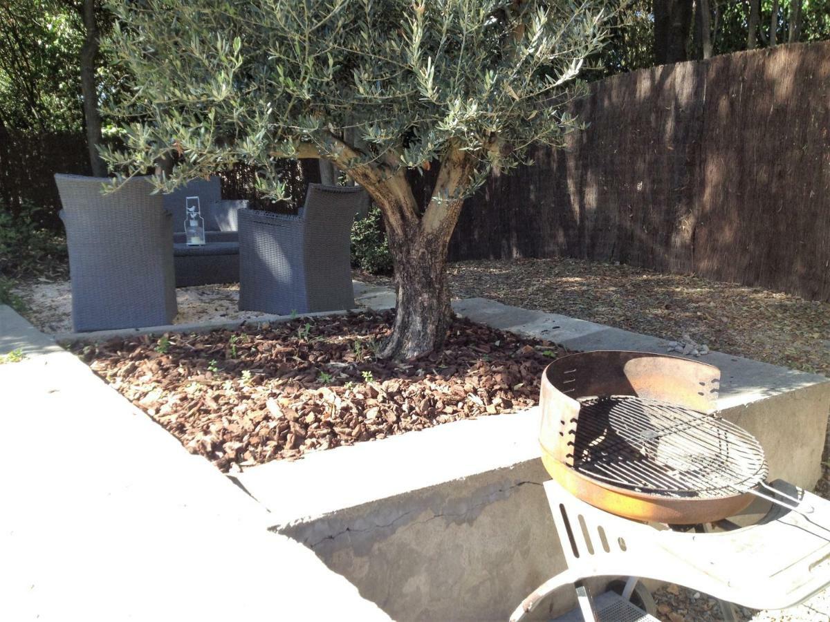 Au Vieux Lavoir Avec Parking Prive, Jardin , Climatisation, A 500 M De La Cite Carcassonne Luaran gambar