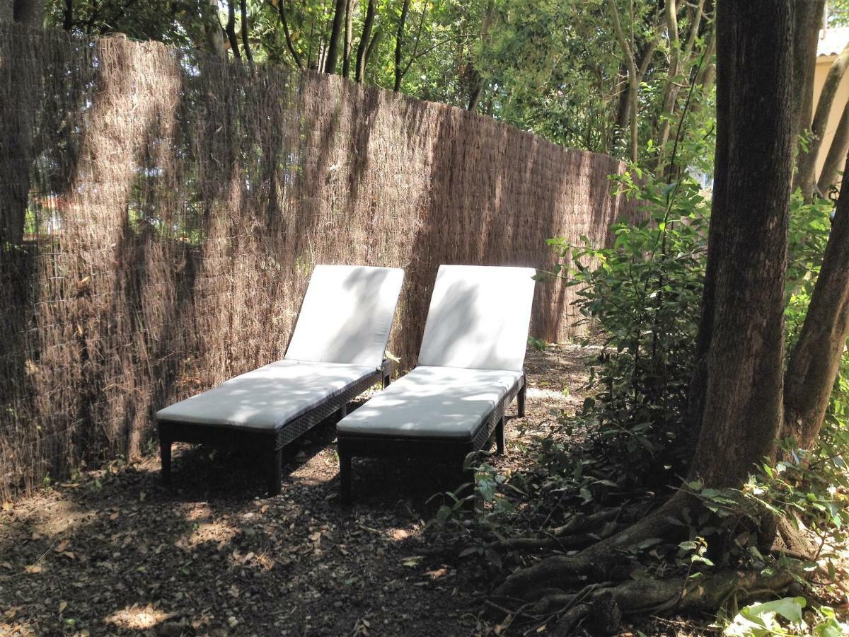 Au Vieux Lavoir Avec Parking Prive, Jardin , Climatisation, A 500 M De La Cite Carcassonne Luaran gambar