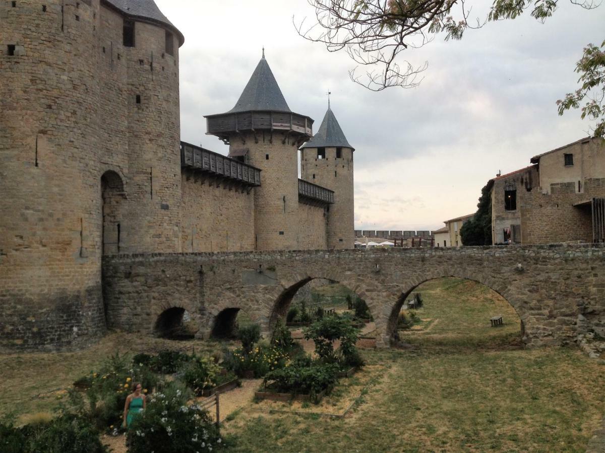 Au Vieux Lavoir Avec Parking Prive, Jardin , Climatisation, A 500 M De La Cite Carcassonne Luaran gambar