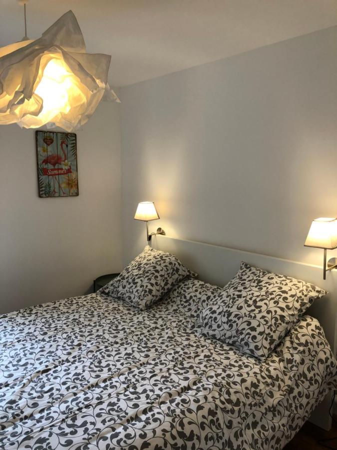 Au Vieux Lavoir Avec Parking Prive, Jardin , Climatisation, A 500 M De La Cite Carcassonne Luaran gambar